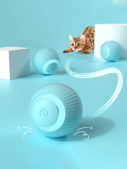 SmartCat Toy