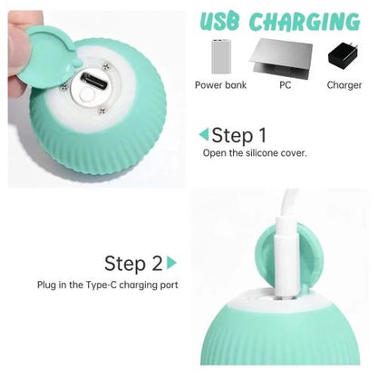 SmartCat Toy