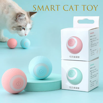 SmartCat Toy