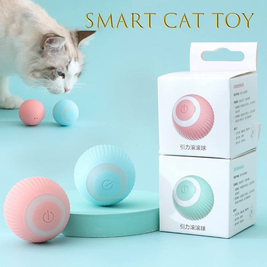 SmartCat Toy