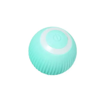 SmartCat Toy