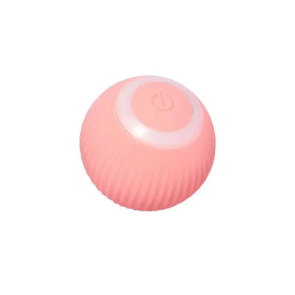 SmartCat Toy